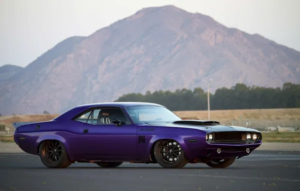 Картинка Dodge Challenger, muscle car, 1970, custom, purple