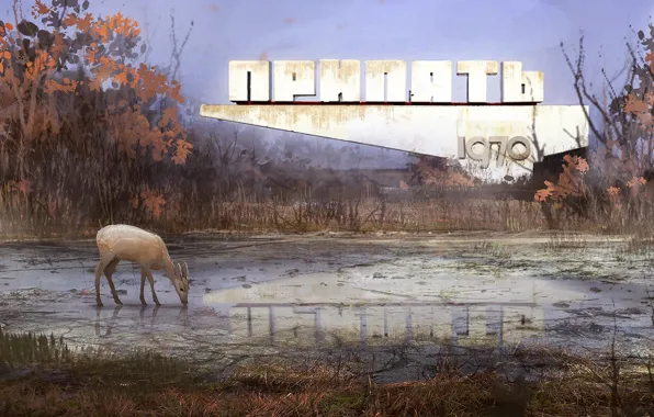 Картинка отражение, растительность, олень, Припять, Welcome to Pripyat