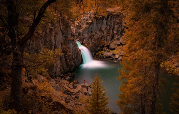 Картинка деревья, река, скалы, водопад, Калифорния, California, Upper McCloud Falls, McCloud River, Река Мак-Клауд