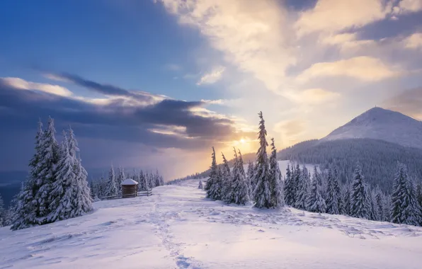 Картинка зима, лес, небо, солнце, облака, снег, пейзаж, горы, следы, красота, ели, простор, сугробы, домик, ёлки, …