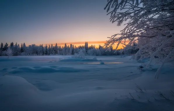 Картинка зима, лес, снег, деревья, закат, река, Финляндия, Finland, Lapland, Лапландия, River Äkäsjoki