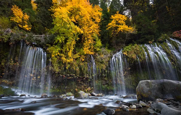 Картинка осень, лес, деревья, река, камни, водопад, Калифорния, каскад, California, Sacramento River, Mossbrae Falls, Dunsmuir, Река …