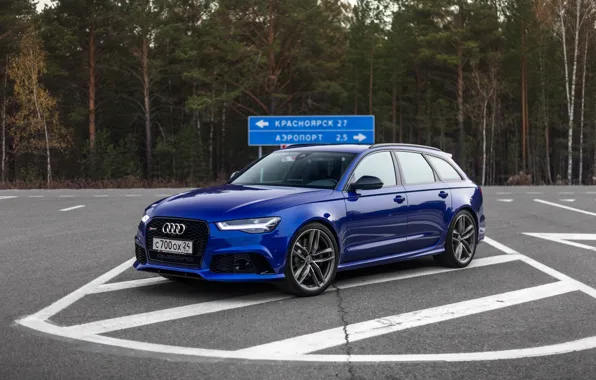 Картинка Audi, Russia, Blue, Avant, Forest, RS6, Asphalt