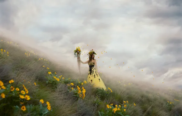 Картинка девушка, цветы, туман, лепестки, платье