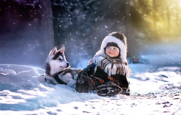 Картинка зима, свет, ребенок, собака, мальчик, щенок, хаски