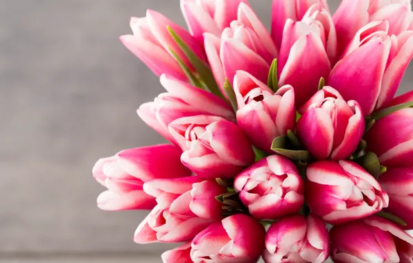 Картинка цветы, букет, тюльпаны, розовые, fresh, pink, flowers, beautiful, tulips, spring