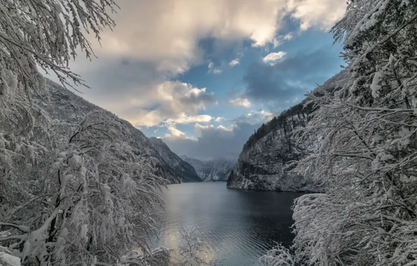 Картинка зима, снег, деревья, горы, ветки, озеро, Германия, Бавария, Альпы, Germany, Bavaria, Alps, Königssee lake, озеро …
