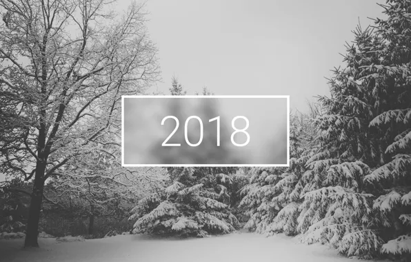 Картинка wallpaper, white, christmas, new year, trees, winter, snow, minimalistic, 2018