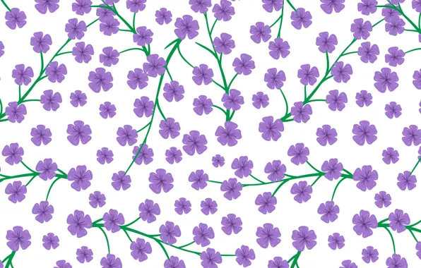 Картинка цветы, white, flowers, background, pattern, purple