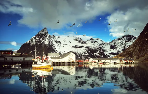 Картинка зима, небо, вода, облака, снег, горы, птицы, отражение, чайки, бухта, яхты, лодки, Норвегия, катер, домики, …