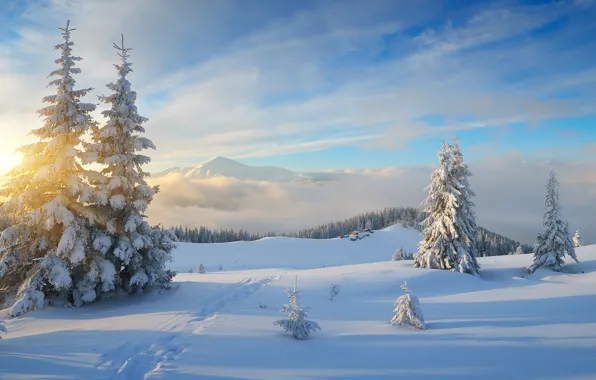 Картинка зима, лес, небо, солнце, облака, лучи, снег, пейзаж, горы, холмы, лыжня, красота, ели, склон, деревня, …
