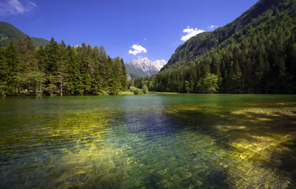 Картинка лес, горы, озеро, рябь на воде, Словения, Slovenia, Planšarsko jezero, Планшарско озеро