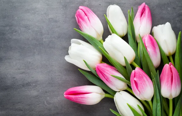 Картинка цветы, букет, тюльпаны, розовые, white, белые, fresh, pink, flowers, beautiful, tulips, spring