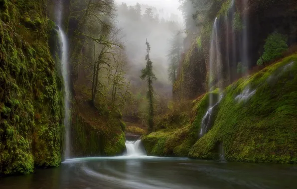 Картинка лес, природа, река, водопад, Орегон, США