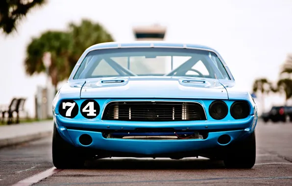 Картинка Dodge Challenger, race, 1973, blue car