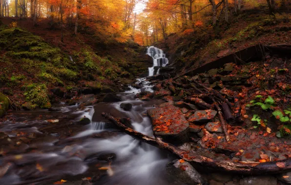 Картинка осень, листья, деревья, Украина, Карпаты, Закарпатье, горный водопад Шипот