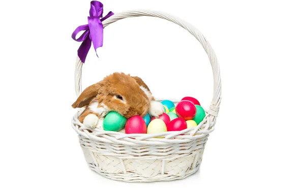 Картинка корзина, кролик, Пасха, happy, rabbit, spring, Easter, eggs, bunny, decoration, яйца крашеные