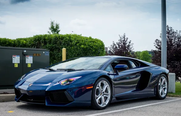 Картинка Lamborghini, Blue, Aventador, Parking