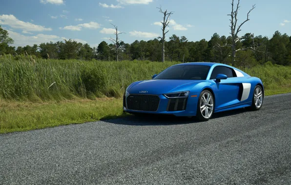 Картинка Audi, Blue, V10