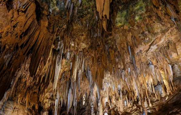 Картинка Вирджиния, сталактиты, Лурейские пещеры