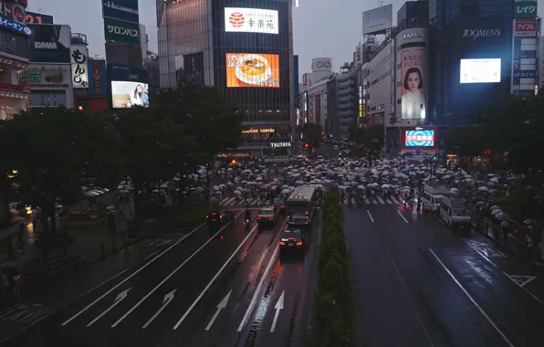 Картинка люди, дождь, толпа, япония, зонты, прекресток