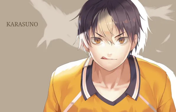 Картинка язык, взгляд, парень, серый фон, желтые глаза, челка, спортивная форма, haikyuu!!, волейбол!!, nishinoya yuu