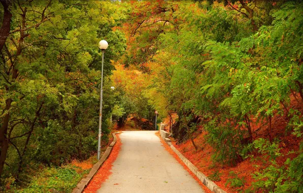 Картинка Осень, Деревья, Фонари, Fall, Дорожка, Autumn, Colors, Road, Trees