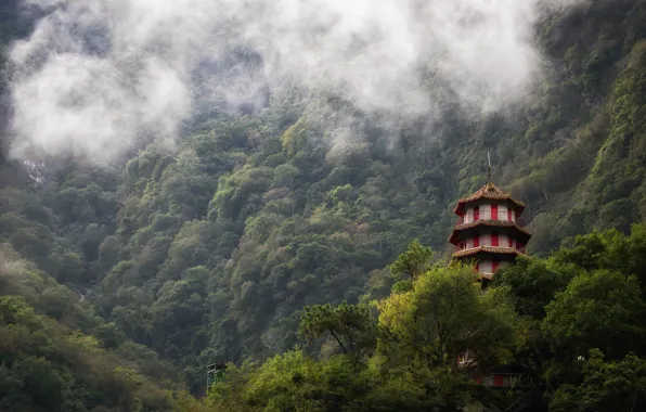 Картинка горы, туман, леса, Taiwan, Taroko Gorge, зелет
