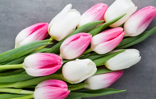 Картинка цветы, букет, тюльпаны, розовые, white, белые, fresh, pink, flowers, beautiful, tulips, spring