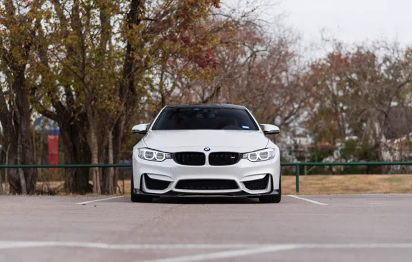 Картинка BMW, Front, White, Autumn, Sight, F83