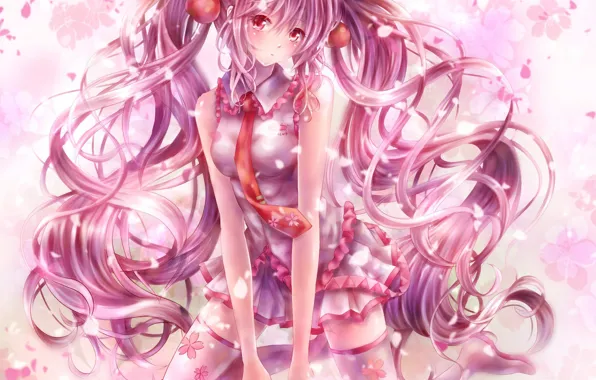 Картинка весна, чулки, галстук, vocaloid, Hatsune Miku, вокалоид, оборки, розовые волосы, лепестки сакуры, Sakura Miku, вьющиеся …