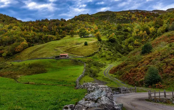 Картинка дорога, осень, деревья, холмы, поля, Испания, Leon