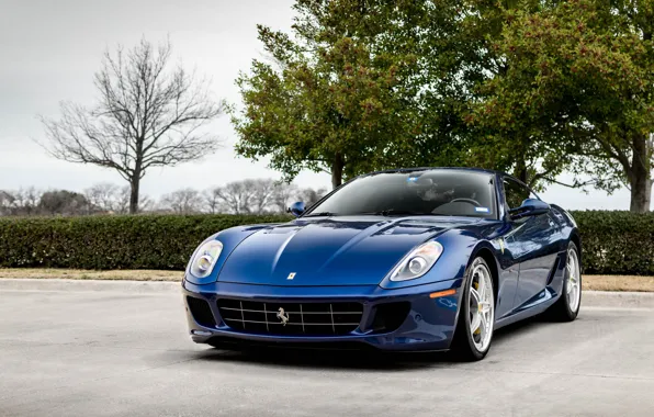 Картинка Ferrari, Blue, GTB, 599