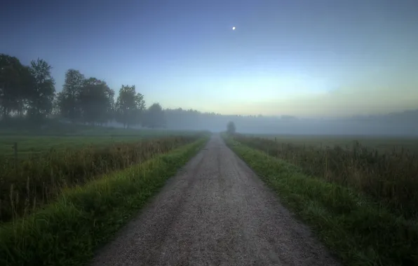 Картинка дорога, туман, поля, утро