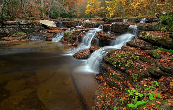 Картинка осень, лес, листья, деревья, река, ручей, водопад, США, каскад