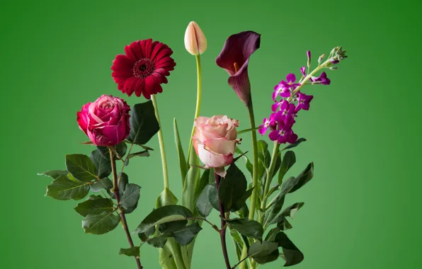 Картинка роза, тюльпан, букет, лепестки, стебель