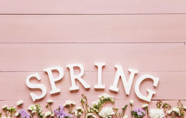 Картинка цветы, фон, весна, pink, flowers, background, spring