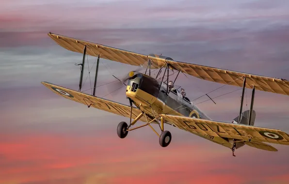 Картинка Tiger Moth, Aicraft, Dream Flight