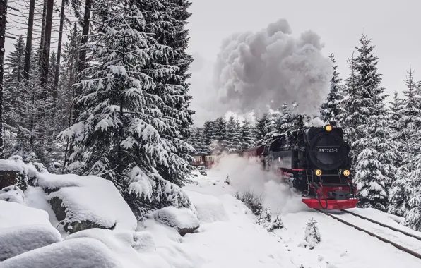 Картинка зима, лес, поезд