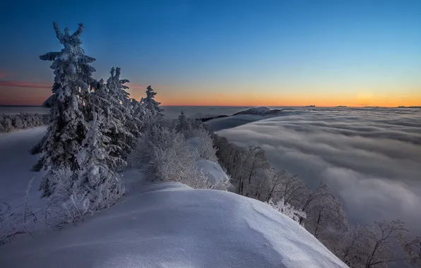 Картинка зима, горы, ночь, дерево