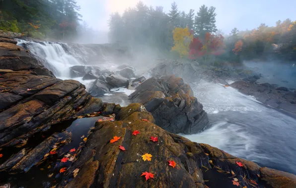 Картинка осень, природа, река, скалы, краски, листва, поток