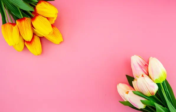 Картинка цветы, фон, букет, тюльпаны
