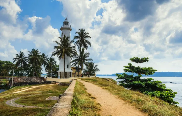 Картинка море, тропики, пальмы, побережье, маяк, Шри-Ланка, Galle