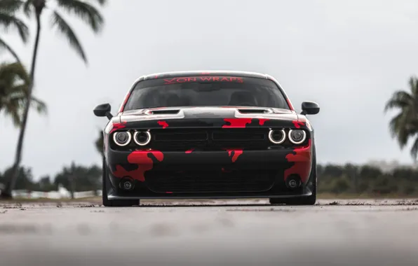 Картинка Dodge, Challenger, SRT, R/T, Face, Camouflage, Sight, Fronte