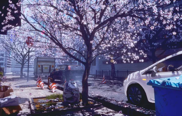 Картинка авто, город, весна, сакура