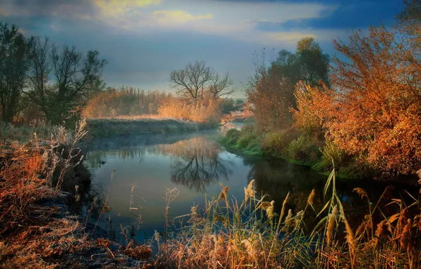 Картинка иней, осень, трава, солнце, деревья, туман, река, утро