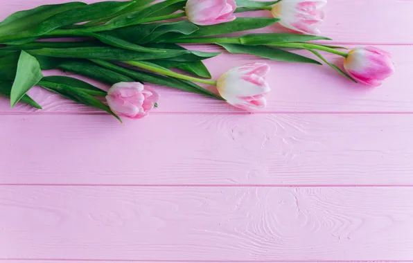 Картинка розовый, Цветы, букет, тюльпаны, деревянный фон