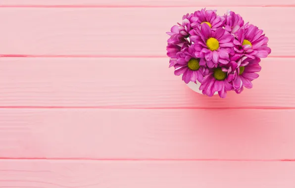 Картинка цветы, фон, розовый, хризантемы, wood, pink, flowers, purple