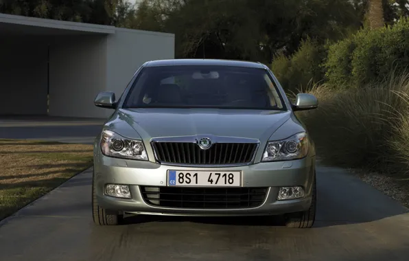 Картинка 2008, седан, вид спереди, Škoda, Skoda, Octavia