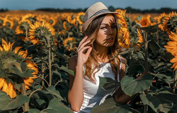 Картинка лето, солнце, подсолнухи, шляпка, Damian Piórko